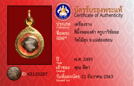 ID 63120287