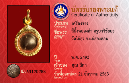 ID 63120288