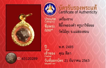 ID 63120289