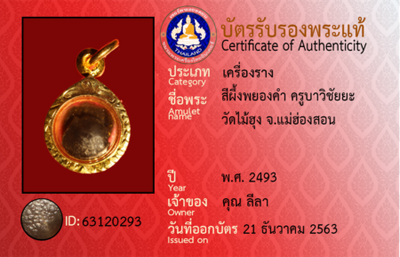ID 63120293