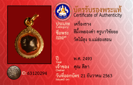 ID 63120294