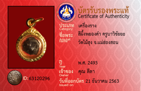 ID 63120296