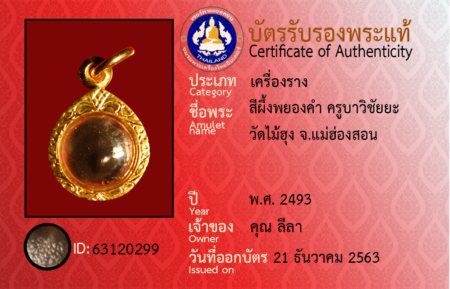 ID 63120299