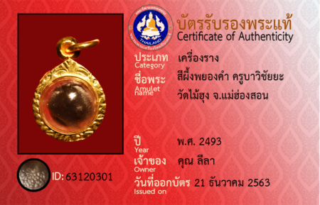 ID 63120301