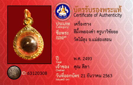 ID 63120308