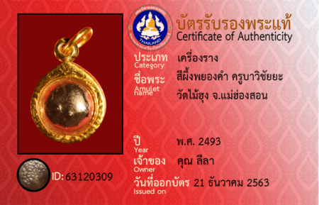 ID 63120309
