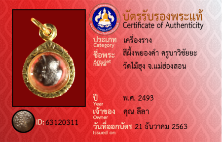 ID 63120311