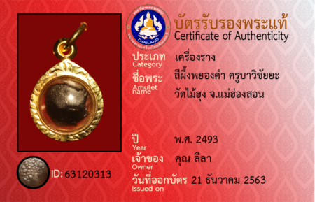 ID 63120313