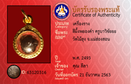 ID 63120316