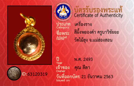 ID 63120319