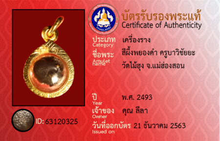 ID 63120325