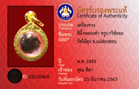 ID 63120469