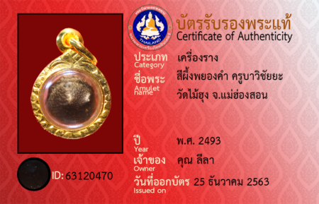 ID 63120470