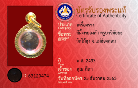 ID 63120474