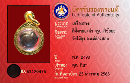 ID 63120476