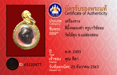 ID 63120477