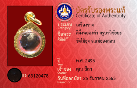 ID 63120478