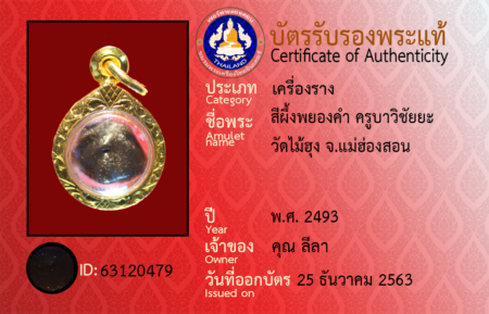 ID 63120479