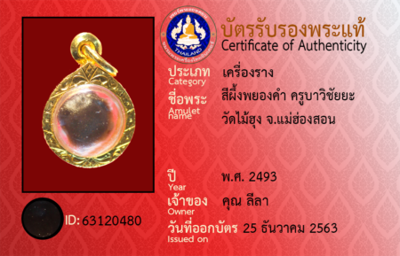 ID 63120480