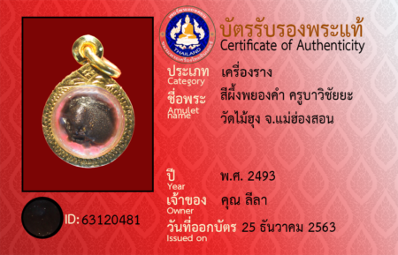 ID 63120481