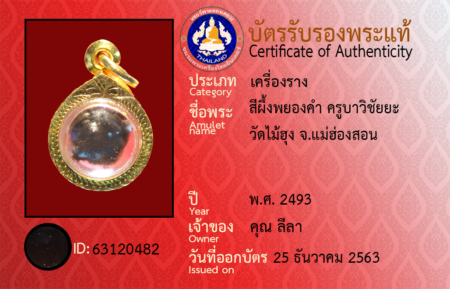ID 63120482