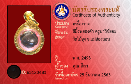ID 63120483