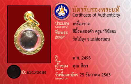 ID 63120484