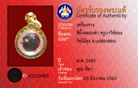 ID 63120485