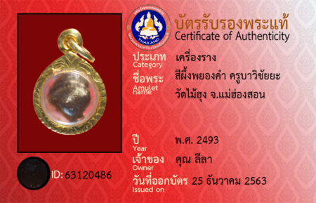 ID 63120486