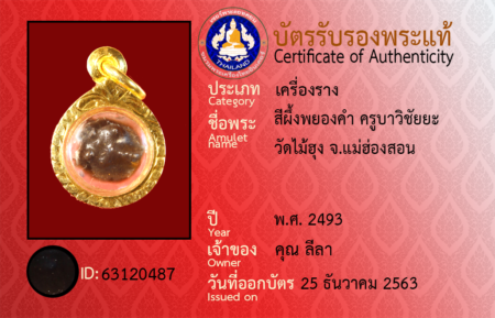 ID 63120487