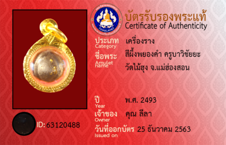 ID 63120488