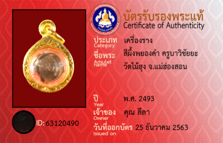 ID 63120490