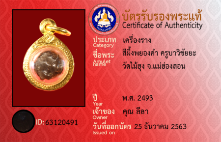 ID 63120491
