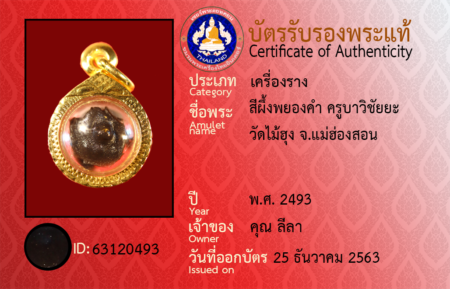 ID 63120493