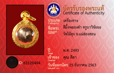 ID 63120494