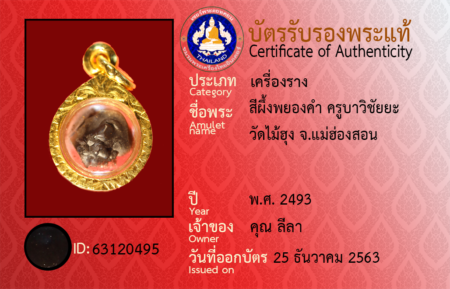 ID 63120495