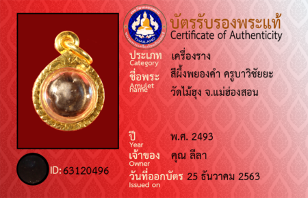 ID 63120496