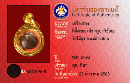 ID 63120508