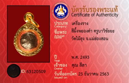 ID 63120509