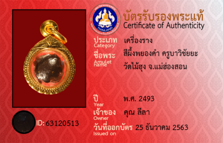 ID 63120513