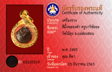 ID 63120519