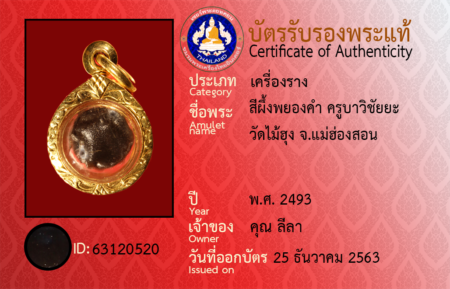 ID 63120520