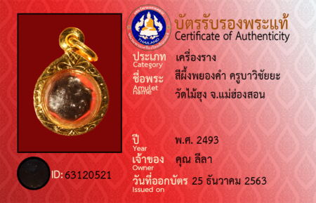 ID 63120521
