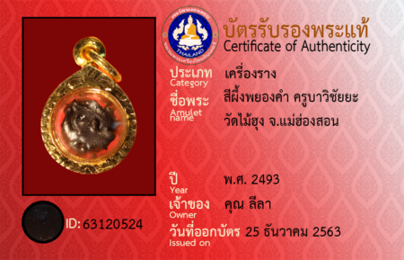 ID 63120524