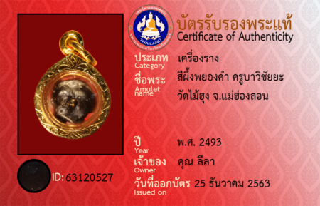 ID 63120527