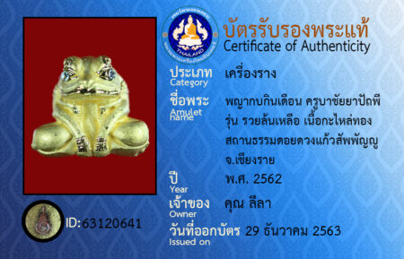 ID 63120641