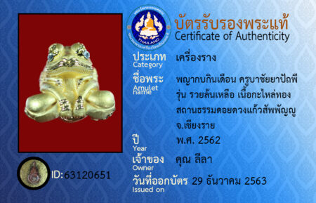ID 63120651
