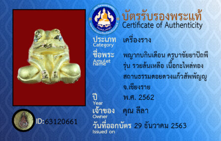 ID 63120661