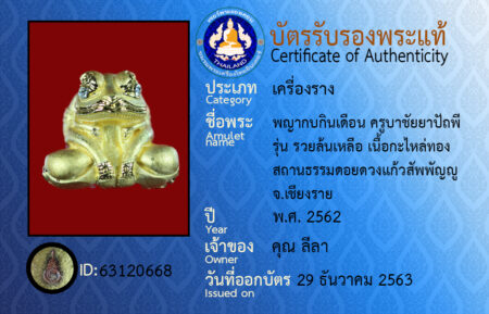 ID 63120668