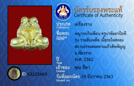ID 63120669